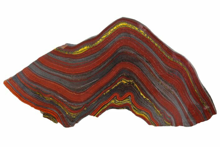 Polished Tiger Iron Stromatolite - Billion Years #129221